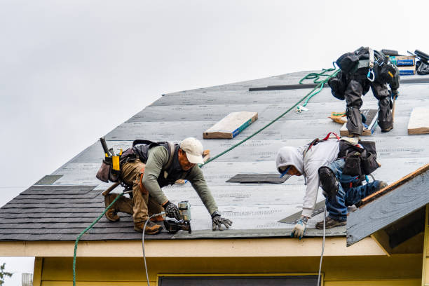 Professional Roofing technician working in Lacona, IA